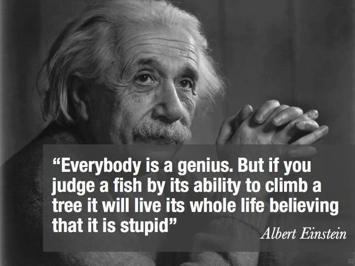 Enhver er et geni.