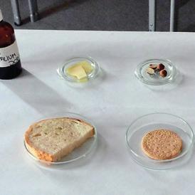 Forsøget: Eleverne gætter først hvilke fødevarer, der indeholder stivelse, og undersøger derefter