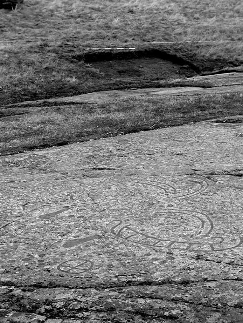 Fig. 1. Kogegrube fundet i 2003 tæt på helleristningen ved Madsebakke. Foto: Palle Ø. Sørensen. der alle var gravet ned gennem kulturlaget fra stenalderen. Fig. 2. På arealet foran klippen fandtes der også enkelte mere specielle anlæg, der dog også nærmest må betegnes som kogegruber.