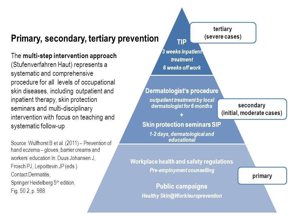 Multi-step forebyggelsesproceduren Den tyske multi-step forebyggelsesprocedure blev implementeret af DGUV den 6. december 2005 (2).