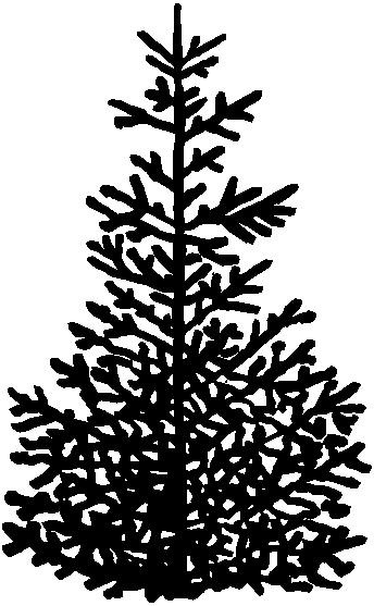 NYT FRA BR-FU & ANDRE UDVALG BRUGTE JULETRÆER Brugte juletræer skal placeres på vendepladserne ved siden af containerne. Husk at afmontere julepynten, da træerne genanvendes til flis.