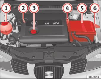 226 Tekniske data Tekniske data Kontrol af væskestand De forskellige væskers væskestand i bilen skal kontrolleres regelmæssigt.