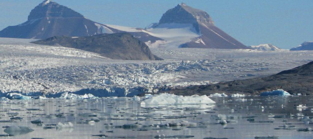 Falder temperaturen til under frysepunktet i kortere eller længere tid vil ad - færdsændringer dog ikke altid være nok til at sikre overlevelse, og slet ikke på Svalbard, da jordens temperatur her er