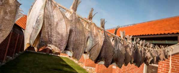 FISKEHANDLER 31 Fiskehandler Uddannelsen som fiskehandler er en spændende individuelt tilrettelagt erhvervsuddannelse, der er udviklet specielt til dig, der ønsker at arbejde med fisk og skaldyr på