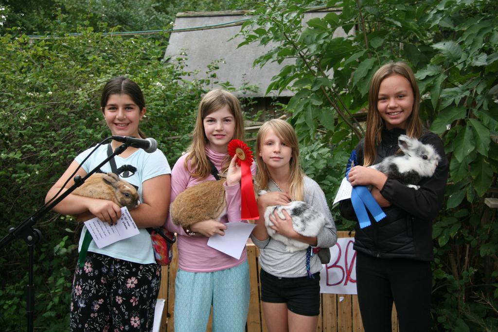 Agility konkurrencen Tusind tak til de børn/kaniner/høner som ville være med til agility ved dyrskuet 2018.