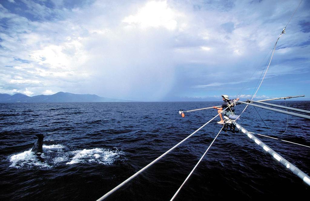 8 A k t u e l N a t u r v i d e n s k a b 3 2 0 0 2 Styrmanden fra forskningsskibet Odyssey, Josh Jones, forsøger at sætte en instrumentpakke på en hunkaskelot. Foto: Chris Johnson/Ocean Alliance.