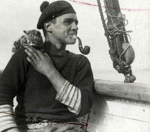 Skibskilling i hyggestund med sømand ombord på HMAS Encounter under 1. verdenskrig Så der skulle nok have været flere katte om bord.