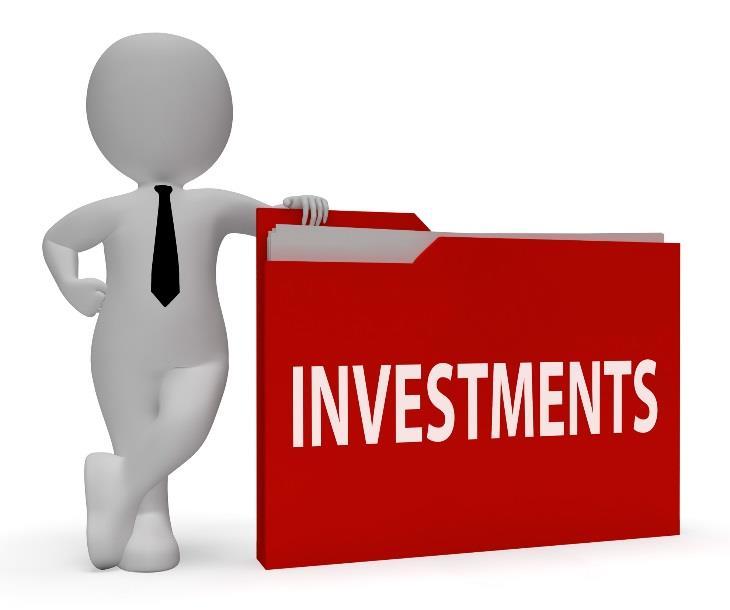 Hvad en investor vil vide Hvor meget skal jeg investere? Hvad får jeg ud af det?