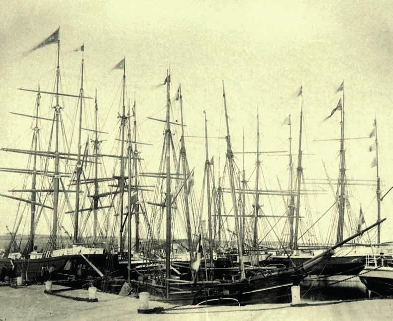Nexø Havn ca. 1882-1883. I forgrunden Skonnert»Sandrine«, kapt. Karlsen. Skonnert»Wilhelmine«, kapt. A. P. Caspersen. Agterenden af S/S»Erna«, kapt. Davidsen.