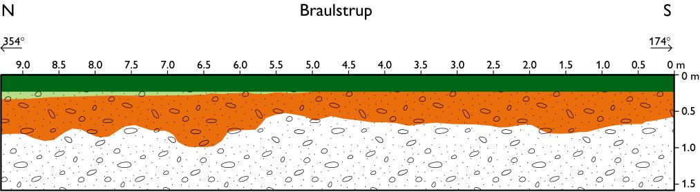 Figur 3.5. Skitse af nord-syd profilvæg ved Braulstrup. Farverne viser pedologien og stregerne den geologiske opmåling.