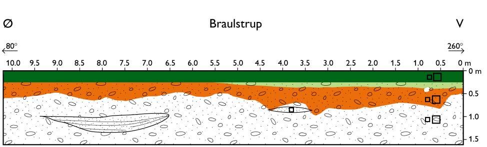 Skitse af øst-vest profilvæg ved Braulstrup. Farverne viser pedologien og stregerne den geologiske opmåling.
