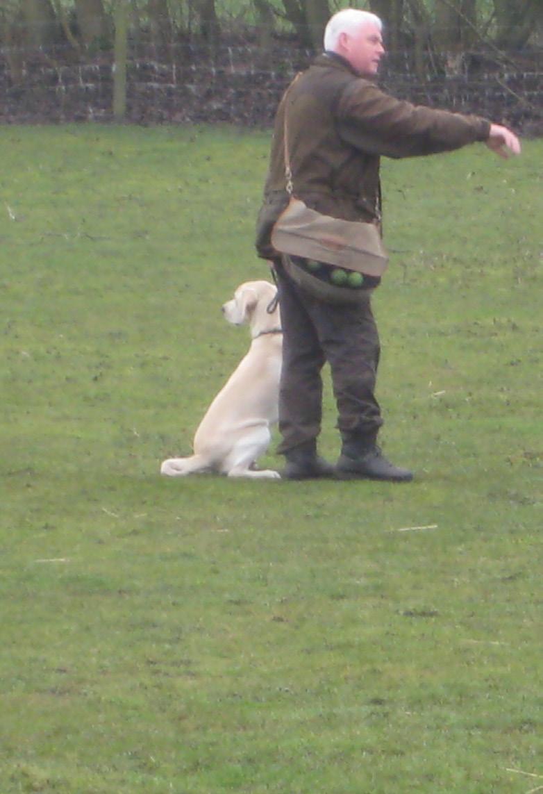 I Nordøstfyns Jagthundeklub er alle hunde velkomne, da træningen foregår på et niveau, hvor de forskellige hunde kan være med.