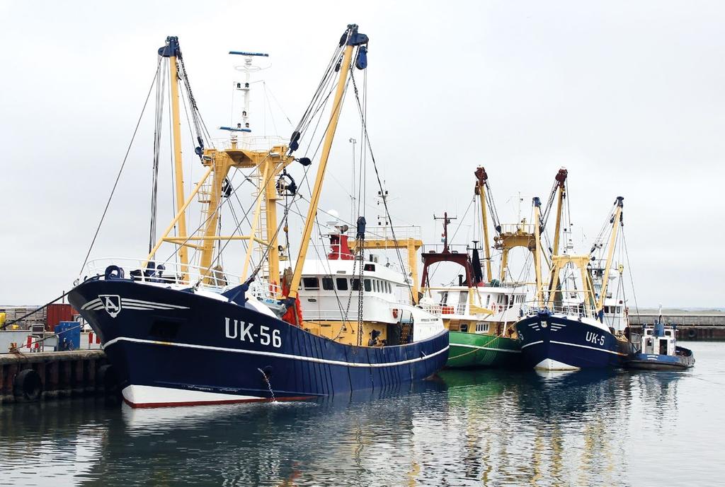 FISKERBLADET SEPTEMBER 2016 HAVNENYT Transitfiskeri i stor fremgang De udenlandske fiskere har for alvor igen fået øjnene op for Thyborøn Havn som en attraktiv og effektiv landingsplads for fisk