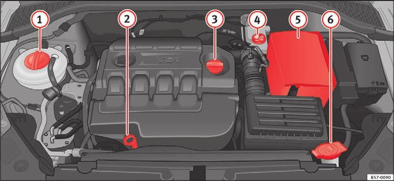 Anbefalinger Motorrum Kontrol af væskestande De forskellige væskers væskestand i bilen skal kontrolleres regelmæssigt. Du må aldrig forveksle væskerne, da det kan medføre alvorlige motorskader.