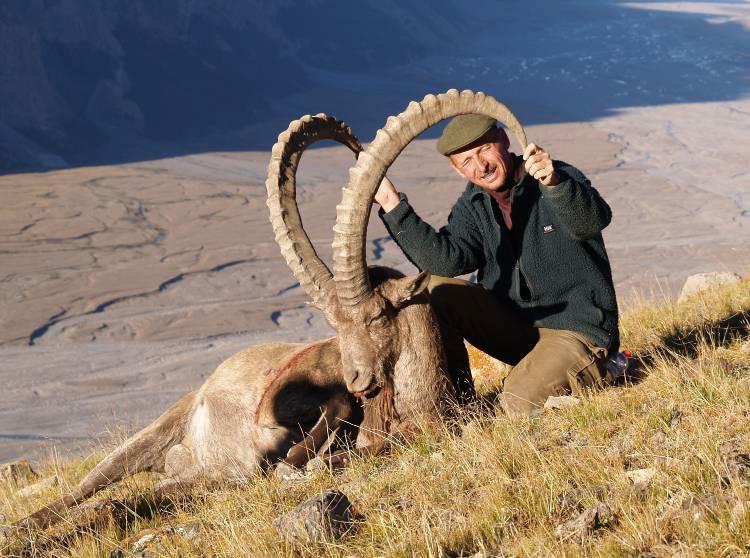 Ibexens horn har en længde på 90-135 cm, større trofæer kan også forekomme. Kropsvægten er fra 80-130 kg.