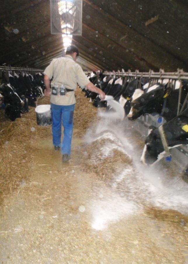 Støv i landbruget Simpel intervention gav mindre støv i luften hos landmænd Måling af støv på 80 gårde med svin eller køer 40 gårde: brev med