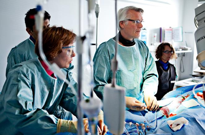 Sundhed Somatiske hospitaler og præhospital Aarhus Universitetshospital Status på omstilling til fremtidens sundhedsvæsen Omstillingen til fremtidens sundhedsvæsen har for Aarhus Universitetshospital