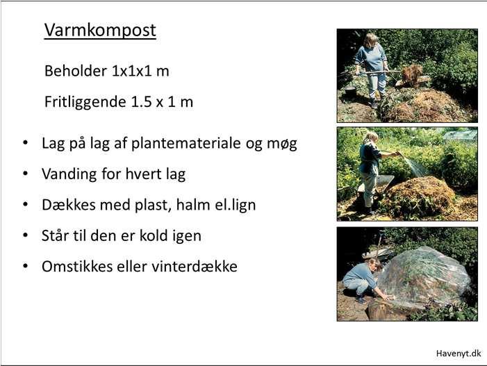 Kompostorm/Brandorm Ormekompost: Løbende kompostering