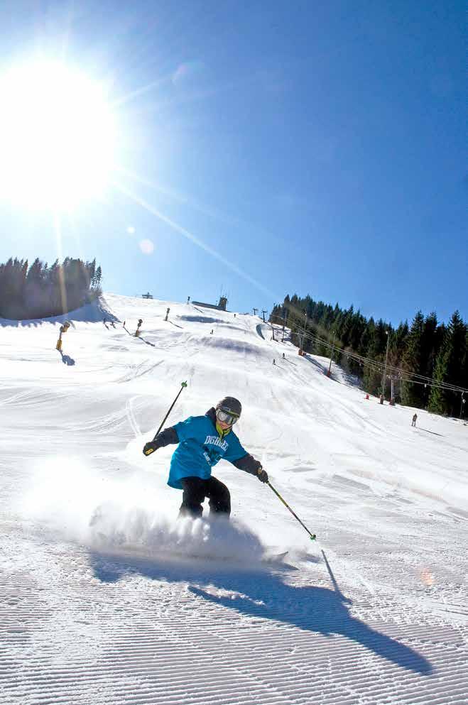 Skishop & skiskole Direkte ved parkering og liftsystem er al service samlet. Her finder du også Roupéz Skishop med Sysveriges bredeste alpine program, skitøj og udrustning.