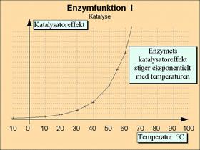 Fysiologi Side 15 Enzymers temperaturafhængighed Figur 15 Enzymers temperatur-afhængighed.