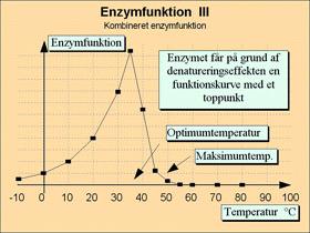 Når denatureringen lægges oven i den katalytiske effekt fås den samlede enzymfunktion.