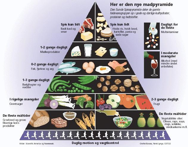 Fysiologi Side 33 Kostråd og kostpyramider Spis frugt og grønt flere gange pr dag Spis fisk of fiskepålæg flere gange pr uge Spis kartofler, ris, pasta og groft brød hver dag Spar på sukkeret (især