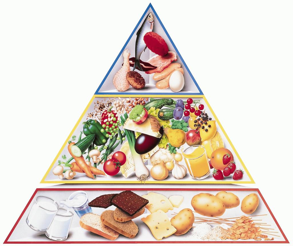 Side 34 Fysiologi således at den optimale fedtsyrefordeling tilgodeses. De mest forarbejdede kulhydrater - hvidt franskbrøb, polerede ris og lign. er i pyramiden flyttet væk fra basiskosten.