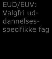 EUV: Valgfag/ Engelsksproglige kompetencer 2, inkl.