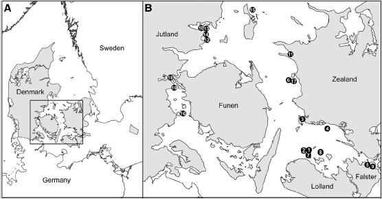 Resultat fra studie af 19 danske havopdræt (2012-2013) i relation til salinitet