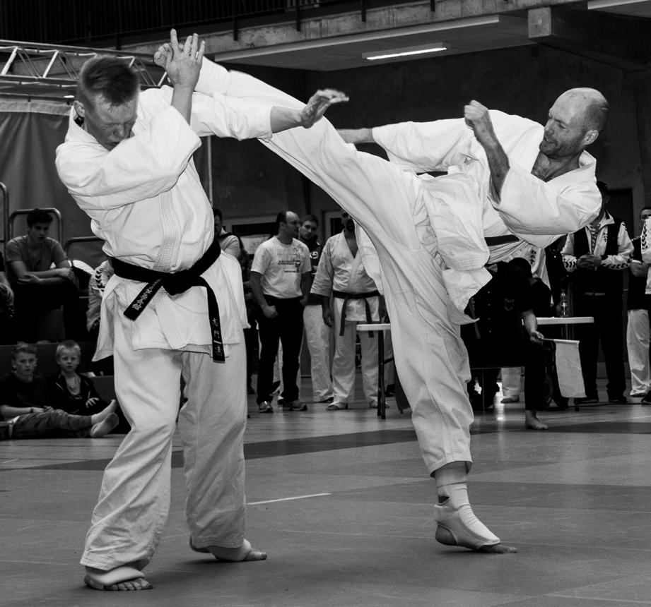 DKU og Svendborg karateskole