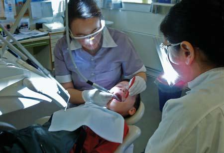 Tandplejen I hvert sundhedsdistrikt ledes tandplejen af en chefdistriktstandlæge, der i de mindre distrikter er ene-tandlæge. I de større distrikter er der desuden en eller flere distriktstandlæger.