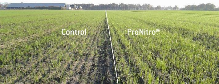 ProNitro sėklų padengimas Yra įrodyta, kad ProNitro pagerina žolės augimą. ProNitro naudą įrodė atliktų bandymų ir tyrimų rezultatai.