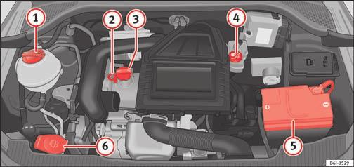 Kontrol og påfyldning Kontrol af væskestande Anbefalinger Tekniske data Fig. 186 Biler med batteri i bagagerummet De forskellige væskers væskestand i bilen skal kontrolleres regelmæssigt.