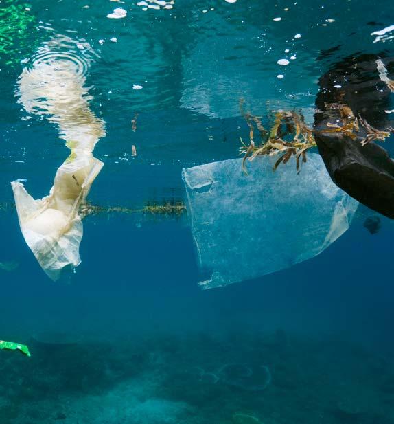 10 PLASTIK BÅDE FANTASTISK OG PROBLEMATISK Plastik i Skagerak Naturstyrelsen har i 2015 gennemført en optælling af affald på fem udvalgte kyststrækninger.