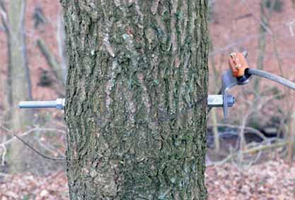 træet med en gevindstang der står i et boret hul og går langt op i stolpen. Det er nemt at montere, og skaden på træet er begrænset.