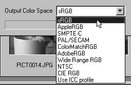 BRUG AF SOFTWARET - FARVETILPASNING 2. Vælg det ønskede farvesystem fra rullelisten "Output Color Space".