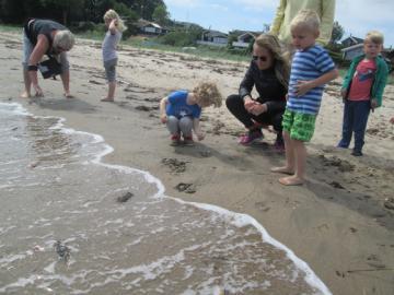 Børnene hjælper nogle af krabberne på vej til vandet, så det er en fin