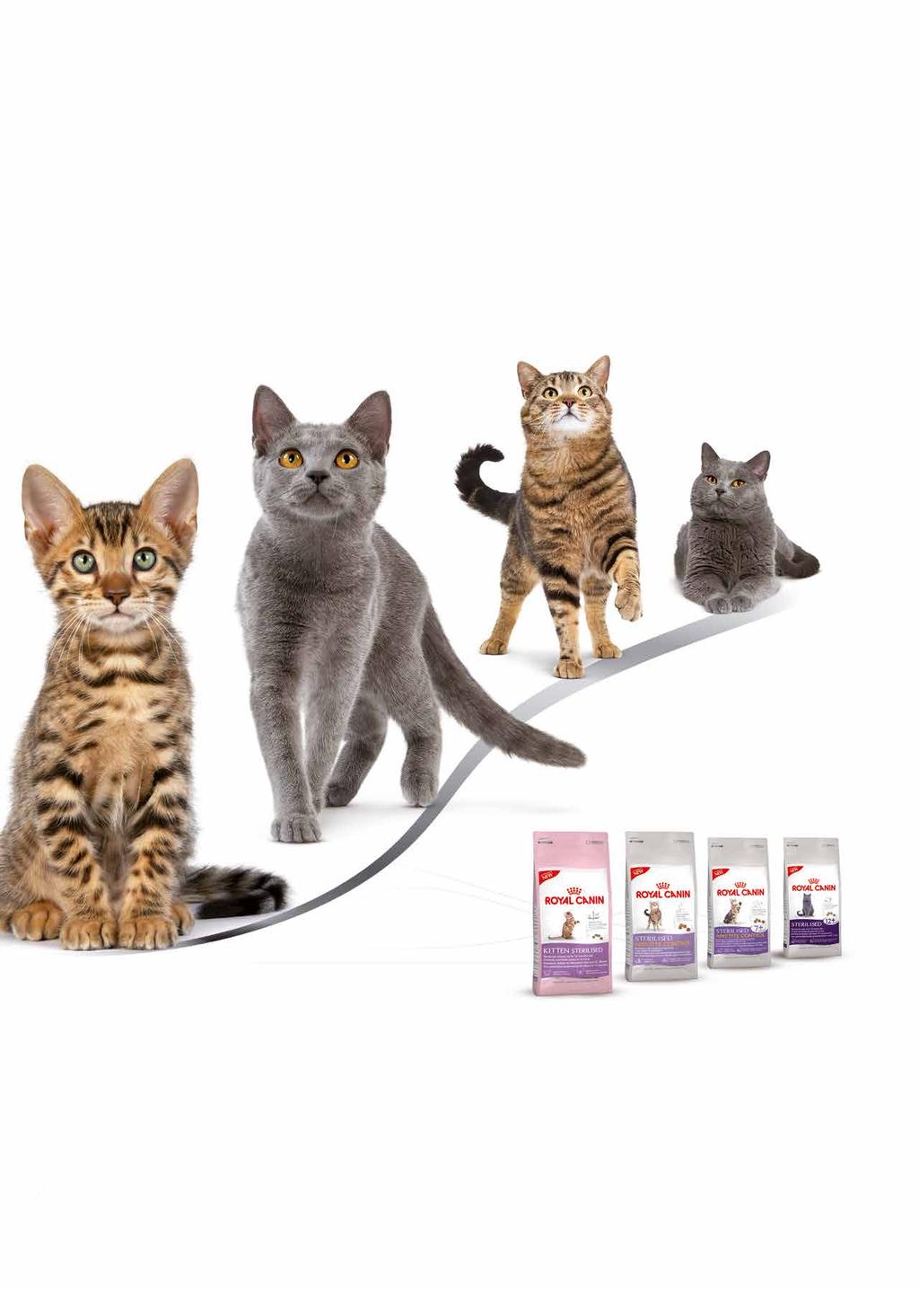 Afsender: Felis Danica, Lyngby 4, 9370 Hals Nu har alle steriliserede/kastrerede katte al mulig grund til at forblive sunde og raske STERILISED ÅR op til 12 måneder Health Nutrition, sund og rask
