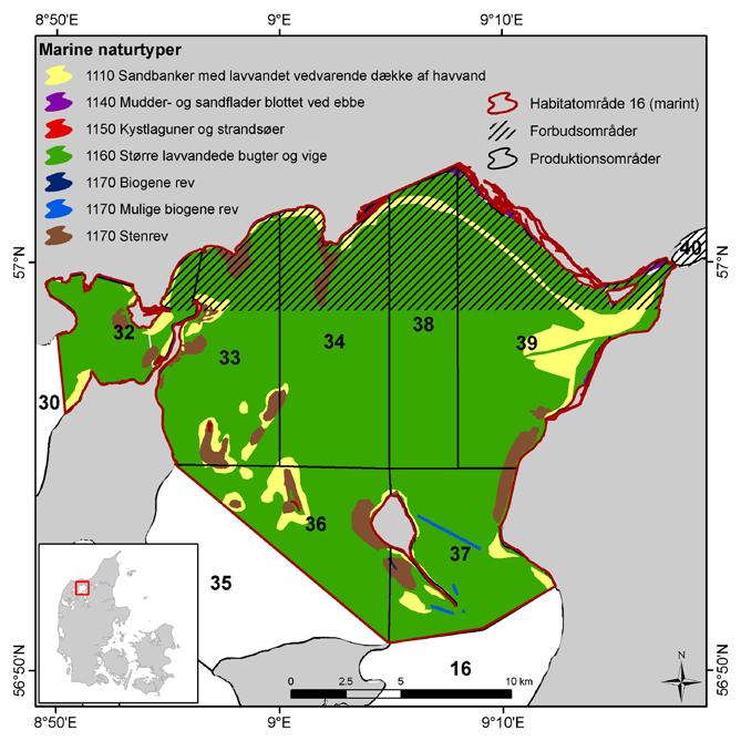 4 GENERELT OM LØGSTØR BREDNING Produktionsområde 32-34 og 36-39 i Løgstør Bredning er udpeget som Natura 2000 område.