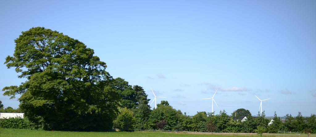 Baggrund Rebild Kommune vedtog i 2013 Kommuneplan 2013 retningslinjer for opstilling af vindmøller.