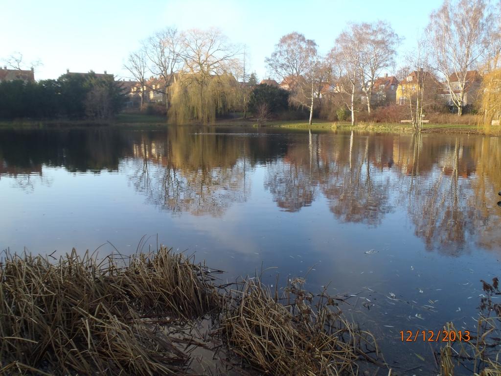 Søen i Brønshøjparken desuden have den fordel, at søens fiskebestand udøver et stort prædationstryk på dyreplanktonet.