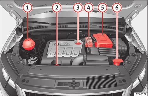 344 Tekniske data Tekniske data Kontrol af væskestand De forskellige væskers væskestand i bilen skal kontrolleres regelmæssigt.