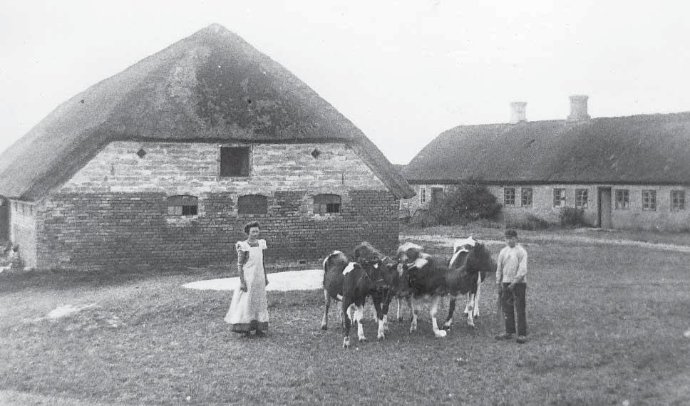 Peder Møllers gård i Tømmerby 1910, søskendeparret Kathrine og Kresten Møller. markarbejdet. Der blev holdt to voksne karle og en konfirmeret dreng foruden ekstra mandskab i høbjærgning og høst.