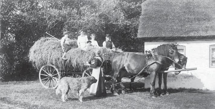 »Kvejlæsset«(sidste læs) køres i hus, 1917. Siddende på læsset fra venstre: Mikael Kloster, Nielna Gundersen, Martha Mortensen, Jens Mortensen, drengen Gunnar Gundersen.