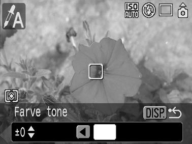 2. Tilstanden Farve tone anvendes. 3. Kameraet skifter til farveinputtilstand, og skærmen skifter mellem originalbilledet og farvetonebilledet (ud fra den tidligere indstillede farve).