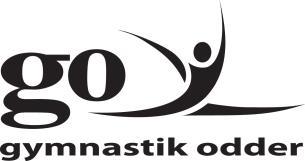 Gymnastik Odder Bestyrelsens beretning 18. februar 2018 4 år er gået siden Gymnastik Odder startede ud efter fusionen af OIGF Gymnastik og Odder Gymnasterne.