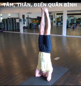 Thanh Loi og træet (Thành Lợi và cây) Man kan leve længe med god energi i sind og krop.