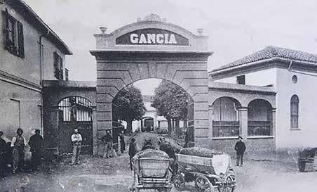 Efter endt uddannelse hos de store champagnehuse i Frankrig vendte Carlo Gancia hjem til sit fædreland med en vision.