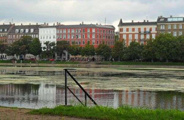 Søerne i København var i 2011 fyldt med