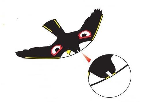 ITEM NO.: 9050860 Bird scarer Assembly instructions Safety instructions The goshawk kite is not a toy and is not designed as such.